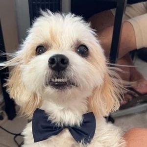 Meet your Posher, Marie